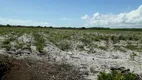 Foto 19 de Fazenda/Sítio com 3 Quartos à venda, 70000m² em Centro, Ceará Mirim