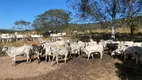 Foto 6 de Fazenda/Sítio com 4 Quartos à venda, 350m² em Centro, São Miguel do Passa Quatro