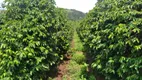 Foto 33 de Fazenda/Sítio com 3 Quartos à venda, 70m² em Zona Rural, São Lourenço