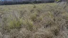 Foto 12 de Fazenda/Sítio com 3 Quartos à venda, 5000m² em Zona Rural, Macaíba