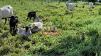 Foto 12 de Fazenda/Sítio à venda, 1000m² em Centro, Torixoréu