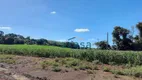 Foto 13 de Fazenda/Sítio à venda, 251500m² em Iguipora, Marechal Cândido Rondon