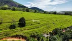 Foto 25 de Fazenda/Sítio com 6 Quartos à venda, 33000m² em Barro Branco, Guarapari