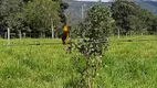 Foto 2 de Lote/Terreno à venda, 20000m² em São José da Serra, Jaboticatubas