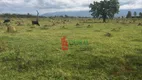 Foto 19 de Lote/Terreno à venda, 800000m² em Moreira César, Pindamonhangaba