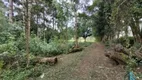 Foto 4 de Fazenda/Sítio com 4 Quartos à venda, 220m² em Area Rural de Sao Jose dos Pinhais, São José dos Pinhais