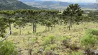 Foto 25 de Fazenda/Sítio à venda, 240000m² em Perico, São Joaquim