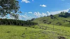 Foto 6 de Fazenda/Sítio à venda, 10500m² em Zona Rural, Bueno Brandão