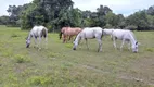 Foto 2 de Fazenda/Sítio à venda em Zona Rural, Poconé