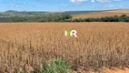 Foto 2 de Fazenda/Sítio à venda, 2320m² em Vila Sao Jose, Caldas Novas