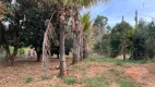 Foto 16 de Fazenda/Sítio com 3 Quartos à venda, 350m² em , Arealva