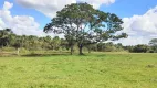 Foto 14 de Fazenda/Sítio com 3 Quartos à venda, 580000m² em Segismundo Pereira, Uberlândia