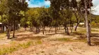 Foto 3 de Fazenda/Sítio com 1 Quarto à venda, 6750m² em Plano Diretor Sul, Palmas