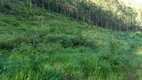 Foto 9 de Fazenda/Sítio à venda, 1960200m² em Niteroi, Atilio Vivacqua