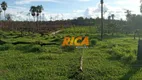 Foto 5 de Fazenda/Sítio à venda, 500000m² em Zona Rural, Humaitá