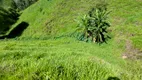 Foto 9 de Fazenda/Sítio à venda, 32000m² em Paiol Grande, São Bento do Sapucaí