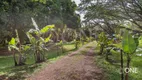 Foto 9 de Fazenda/Sítio com 3 Quartos à venda, 200m² em Arquipélago, Porto Alegre