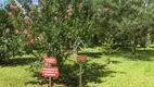 Foto 24 de Fazenda/Sítio à venda, 2m² em Centro, Passo Fundo