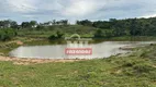 Foto 4 de Fazenda/Sítio à venda, 469m² em Zona Rural, Urutaí