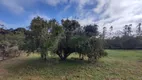 Foto 6 de Fazenda/Sítio com 2 Quartos à venda, 8500m² em Arraial dos Cunhas, Itajaí