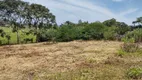 Foto 3 de Lote/Terreno à venda, 3000m² em Barracao, Gaspar