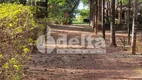 Foto 11 de Fazenda/Sítio com 2 Quartos à venda, 400m² em Minas Gerais, Uberlândia
