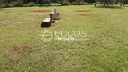 Foto 8 de Fazenda/Sítio com 4 Quartos à venda, 5000m² em Chácaras Eldorado, Uberlândia