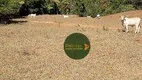 Foto 15 de Fazenda/Sítio com 2 Quartos à venda, 6050000m² em Zona Rural, Planaltina