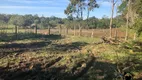 Foto 19 de Fazenda/Sítio com 2 Quartos à venda, 20000m² em Vila Nova, Joinville