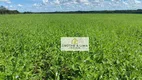 Foto 2 de Fazenda/Sítio à venda, 1000m² em Parque Vale Araguaia, Araguaína