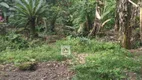 Foto 32 de Fazenda/Sítio com 2 Quartos à venda, 5000m² em Serra Do Mato Grosso, Saquarema