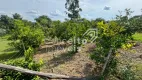 Foto 29 de Fazenda/Sítio com 3 Quartos à venda, 100m² em Uvaia, Ponta Grossa