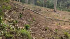 Foto 10 de Fazenda/Sítio com 1 Quarto à venda, 12000m² em , Domingos Martins