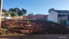 Foto 4 de Lote/Terreno à venda, 272m² em Parque Residencial Nova Alianca, Sarandi