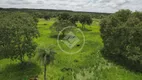 Foto 13 de Fazenda/Sítio com 3 Quartos à venda, 484m² em , Formoso do Araguaia