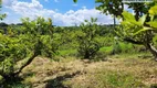 Foto 15 de Fazenda/Sítio com 1 Quarto à venda, 60m² em Macuco, Valinhos