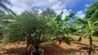 Foto 22 de Fazenda/Sítio com 3 Quartos à venda, 4500m² em , Bela Vista de Goiás