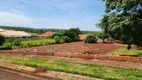 Foto 11 de Lote/Terreno à venda, 1000m² em Jardim Andrade, Maringá