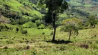 Foto 17 de Fazenda/Sítio à venda, 290000m² em Centro, Piranguçu