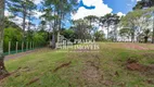 Foto 8 de Lote/Terreno à venda, 700m² em Augusta, Curitiba