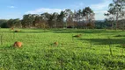 Foto 2 de Fazenda/Sítio à venda, 2000m² em Setor Central, Bonfinópolis