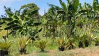 Foto 31 de Fazenda/Sítio com 3 Quartos à venda, 5065m² em Usina Três Bocas, Londrina
