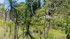 Foto 6 de Fazenda/Sítio com 3 Quartos à venda, 16720m² em Usina Três Bocas, Londrina