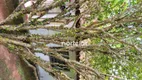 Foto 23 de Fazenda/Sítio com 3 Quartos à venda, 12000m² em Maracanã, Jarinu