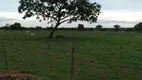 Foto 22 de Fazenda/Sítio com 1 Quarto à venda, 1210m² em Zona Rural, Jangada