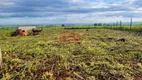 Foto 4 de Lote/Terreno à venda, 1000m² em Elias Fausto, Elias Fausto