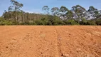 Foto 10 de Lote/Terreno à venda, 20000m² em Cocuera, Mogi das Cruzes