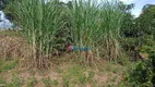 Foto 22 de Fazenda/Sítio com 3 Quartos à venda, 200m² em Bonfim, Cabreúva