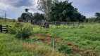 Foto 2 de Fazenda/Sítio com 2 Quartos à venda, 150m² em Zona Rural, Nova Brasilândia