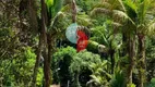 Foto 8 de Fazenda/Sítio com 3 Quartos à venda, 300m² em Monte Olivete, Guapimirim